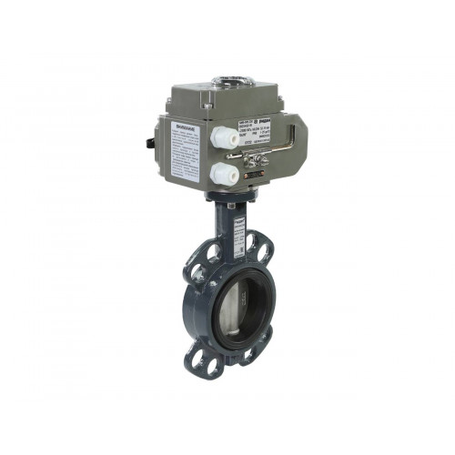 Затвор Ридан PN16 DN65 нерж/EPDM/ЭП220В DN65 с электрическим приводом АМБ | 082X4544R